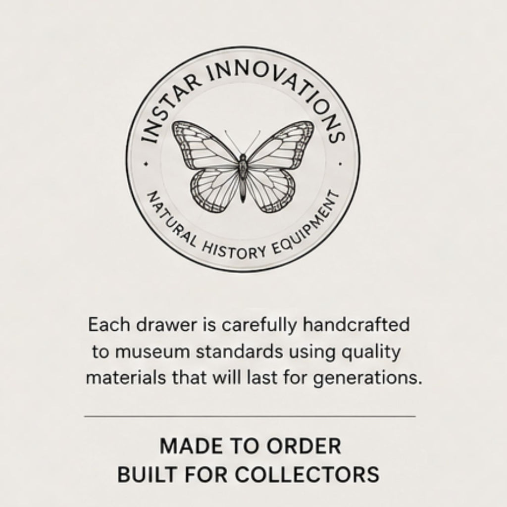 USNM Style Museum Collection Drawer | Handmade Hardwood Entomology Storage Drawer