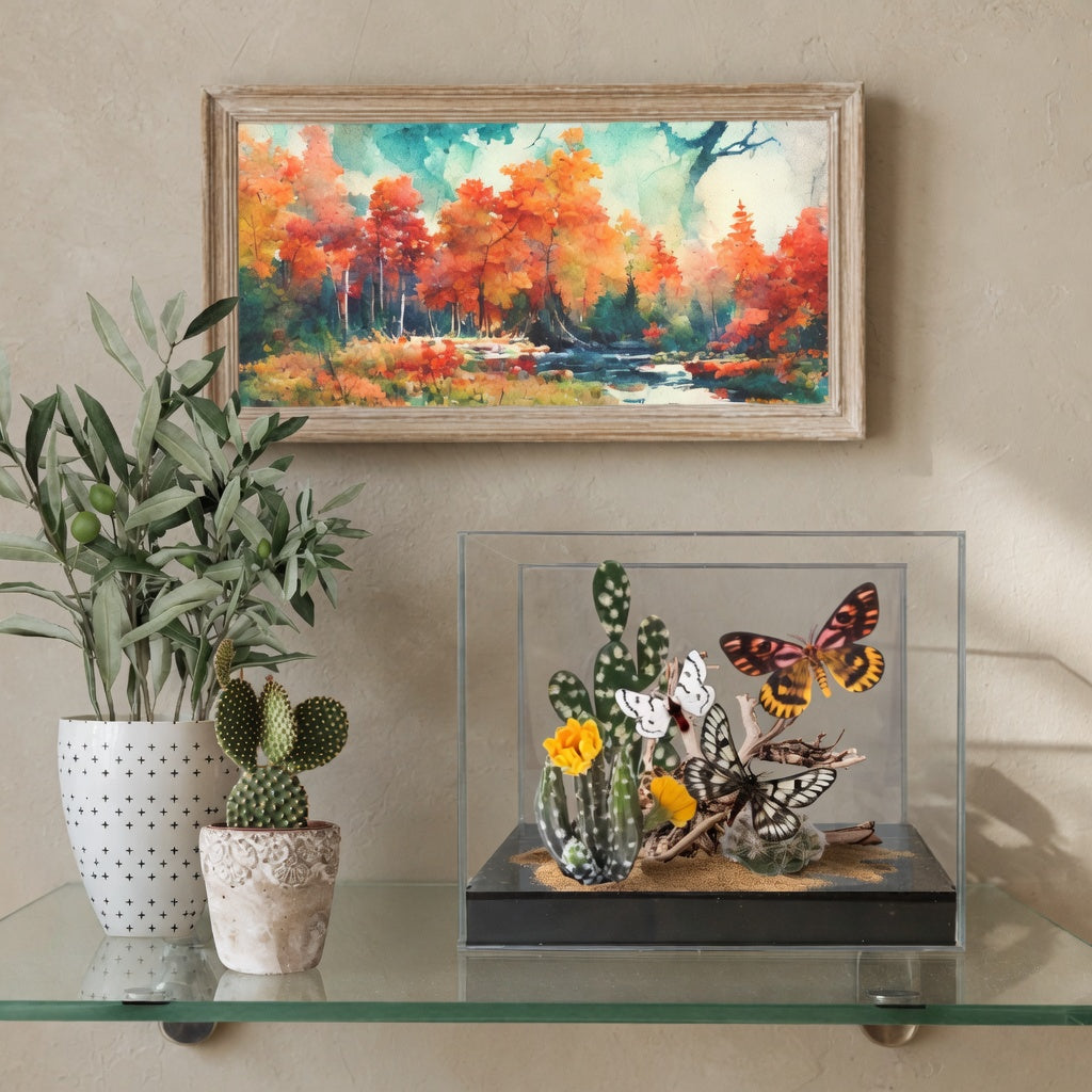 Hemileuca Desert Moth Trio Diorama – Natural History Display 6x8x6 Acrylic