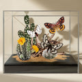 Hemileuca Desert Moth Trio Diorama – Natural History Display 6x8x6 Acrylic