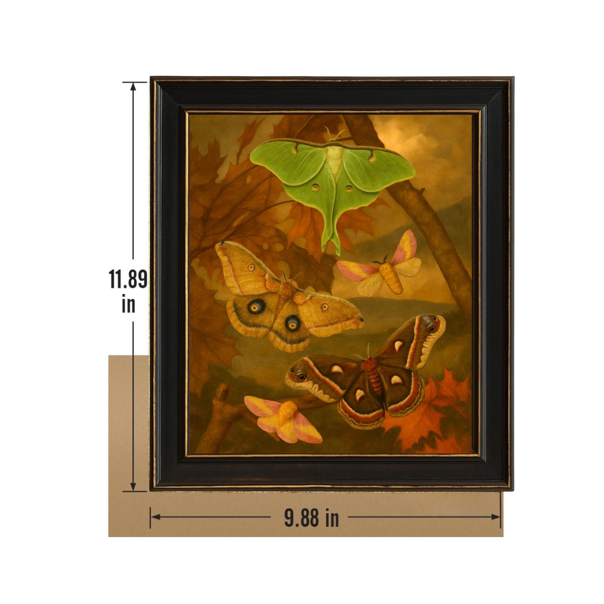 Framed Moth Collection Print – Luna, Cecropia, Polyphemus & Rosy Maple Vintage Natural History Wall Art 8x10