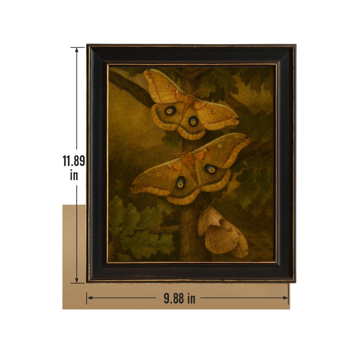 Framed Polyphemus Moth Print – Antheraea polyphemus Vintage Natural History Wall Art 8x10