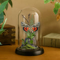 Catocala ilia Ilia Underwing Moth Cloche Dome Diorama – Natural History Display 6x4 Acrylic