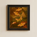Framed Rosy Maple Moth Print – Dryocampa rubicunda Vintage Natural History Wall Art 8x10