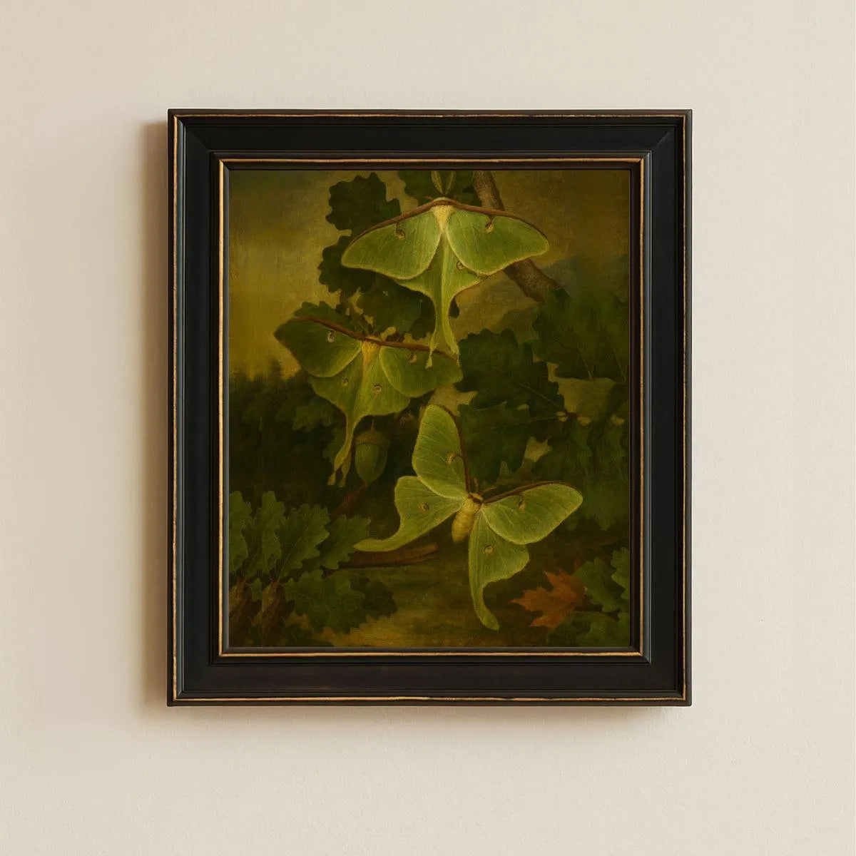 Framed Luna Moth Print – Actias luna Vintage Natural History Wall Art 8x10