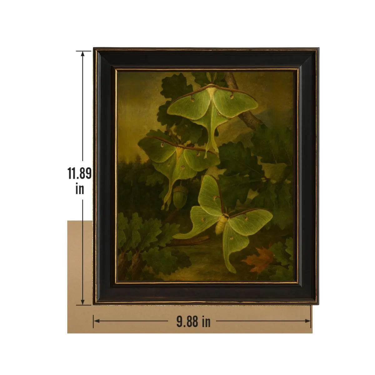 Framed Luna Moth Print – Actias luna Vintage Natural History Wall Art 8x10